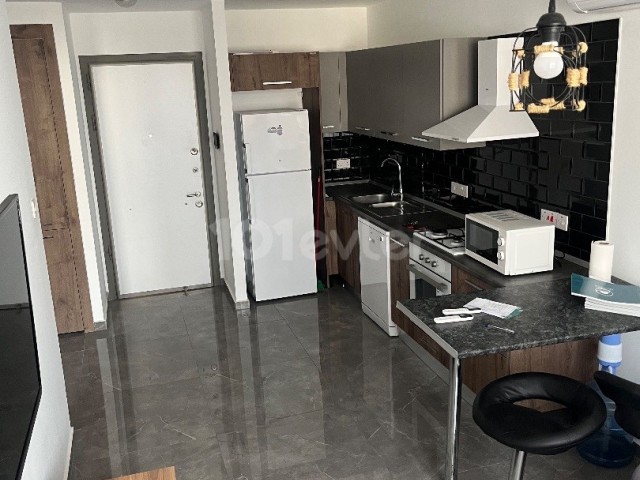 Luxury 1+1 flat in salamis ,450$ monthly year or 4months contract 