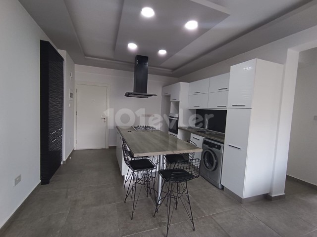 Luxury flat in karakol,2+1,550$