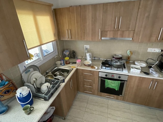 Clean flat in the best location of town,1+1 350$