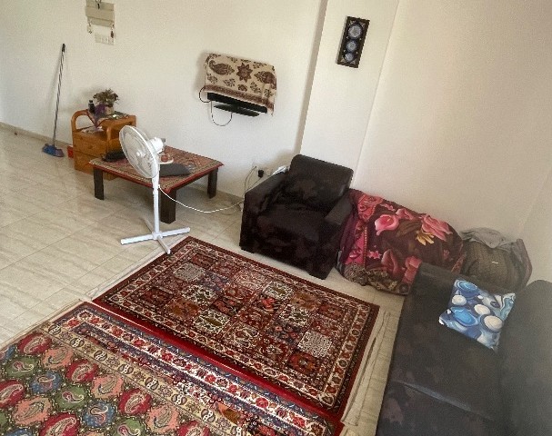 Clean flat in the best location of town,1+1 350$