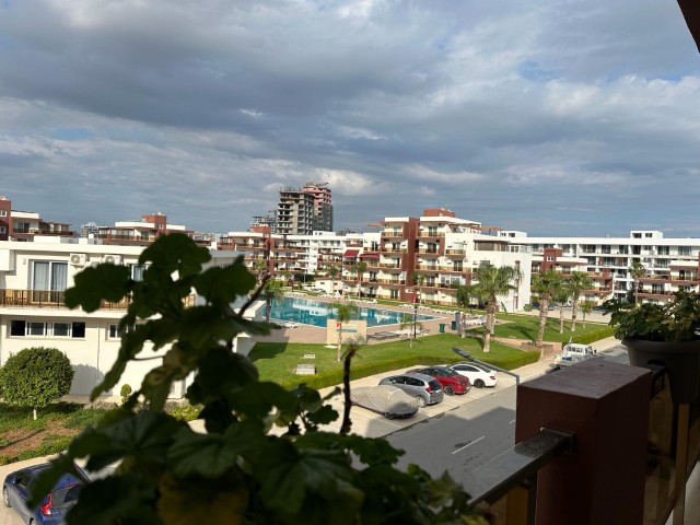 Kiralık Daire-Long Beach, İskele