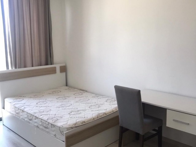 Şehir dışında temiz ve harika 2+1 daire, 600$