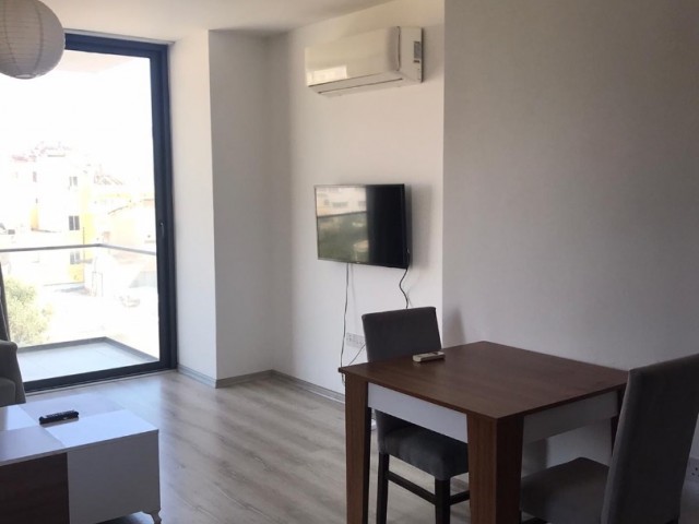 Şehir dışında temiz ve harika 2+1 daire, 600$