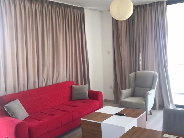 Şehir dışında temiz ve harika 2+1 daire, 600$