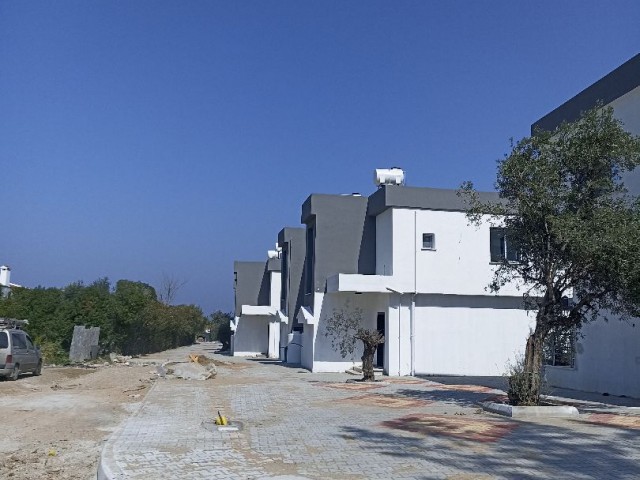 Olive Branch Villas (Son 3 Villa)