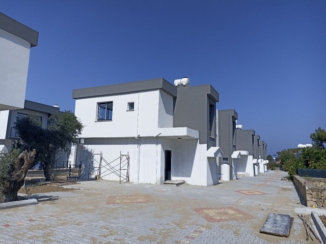 Olive Branch Villas (Son 3 Villa)