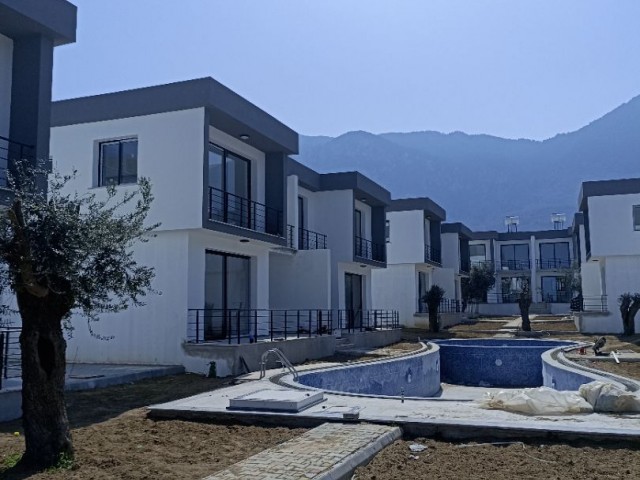 Olive Branch Villas (Son 3 Villa)