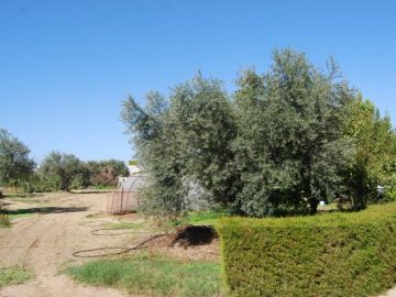 Villa Kaufen in Ozanköy, Kyrenia