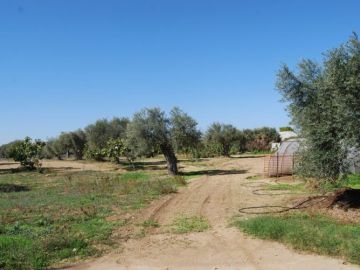 ویلا برای فروش in Ozanköy, گیرنه