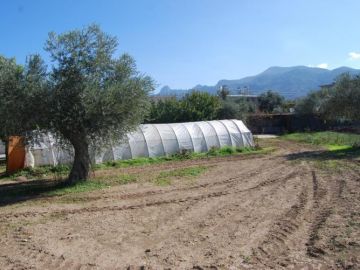 Villa Kaufen in Ozanköy, Kyrenia