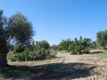 Вилла Продается in Ozanköy, Кирения