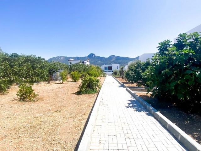 3+1 and 4+1 Luxury Villas in the center of Kyrenia