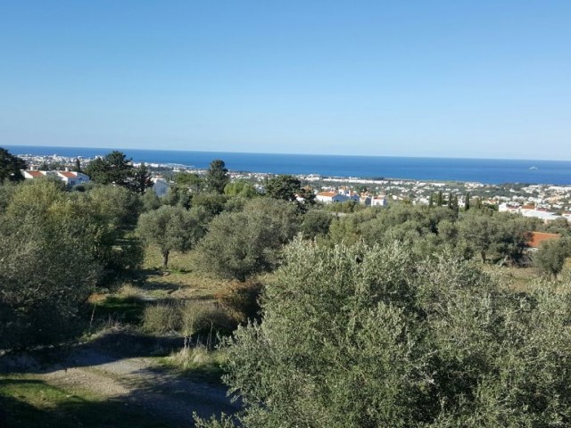 منطقه مسکونی برای فروش in Bellapais, گیرنه