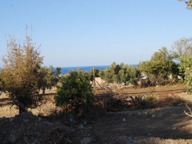 Villa For Sale in Alsancak, Kyrenia