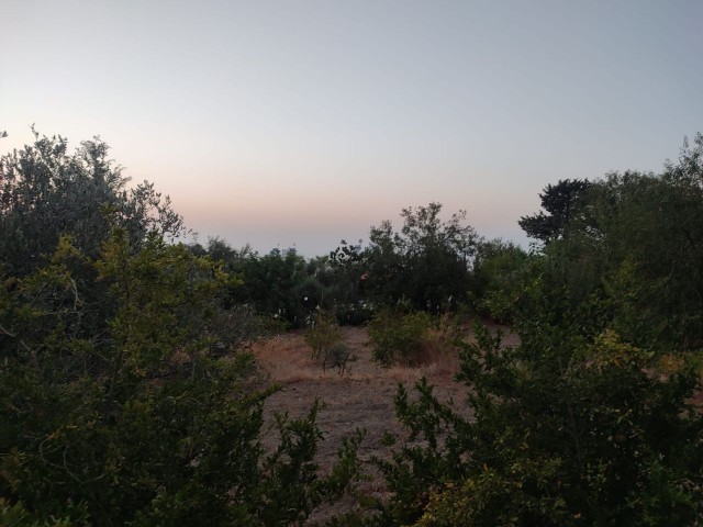 Grundstück mit Meerblick zum Verkauf in Alsancak, geeignet für den Bau einer Villa