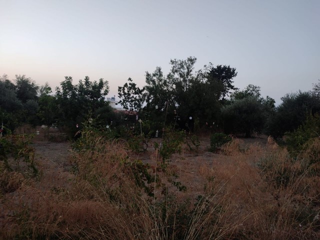 Grundstück mit Meerblick zum Verkauf in Alsancak, geeignet für den Bau einer Villa