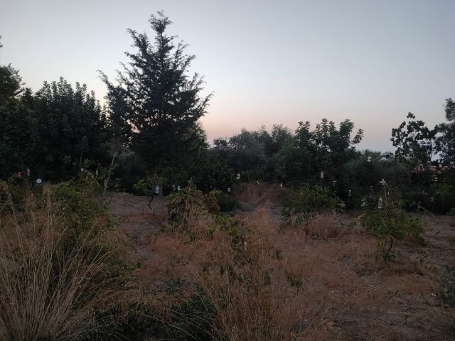 Grundstück mit Meerblick zum Verkauf in Alsancak, geeignet für den Bau einer Villa