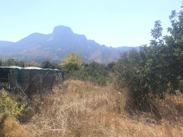 A Turkish koch land 500 m from the sea, which can be offered for construction in Kyrenia Karsiyaka. 05338403555 ** 