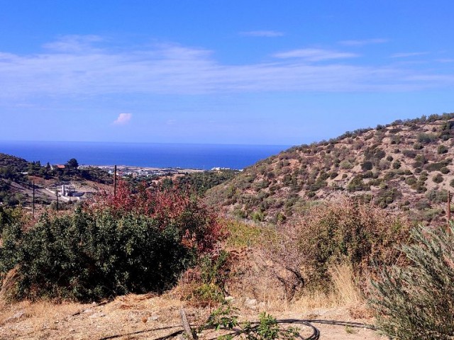 There are plans to enlarge the house made of Karpaz stone, with an unstoppable sea view, within a land of approximately 1 decare in Yeşiltepe Ilgaz. can be enlarged upon request. 05338403555 ** 