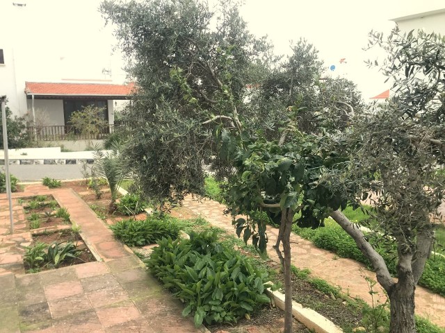 Detached villa in Girne Sadrazamköy, in a complex with swimming pool by the sea. 3 bedrooms, garden full of fruit trees, ready on the cob. No VAT. 05338403555 ** 