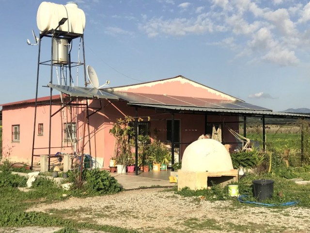 Bauernhaus zum Verkauf in einem türkischen Land von etwa 4,5 Hektar in Kyrenia Mediterranean Village. 05338403555 ** 