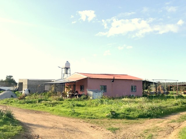 Bauernhaus zum Verkauf in einem türkischen Land von etwa 4,5 Hektar in Kyrenia Mediterranean Village. 05338403555 ** 