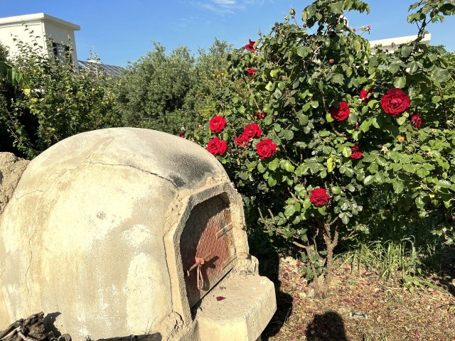 4+1 арендованная вилла без бассейна в городе Лапта , Кирения, в тихом и тихом районе с большим садом. С видом на горы и море.05338403555 ** 