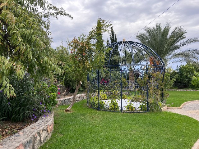 Turkish title Villa for sale in Lapta in 3144m2 land(aprox 2,5 donum of land) Gorgeous garden that makes you feel like in a botanical garden, pool bar&kitchen, water well and a lot of details need to be seen. 05338403555