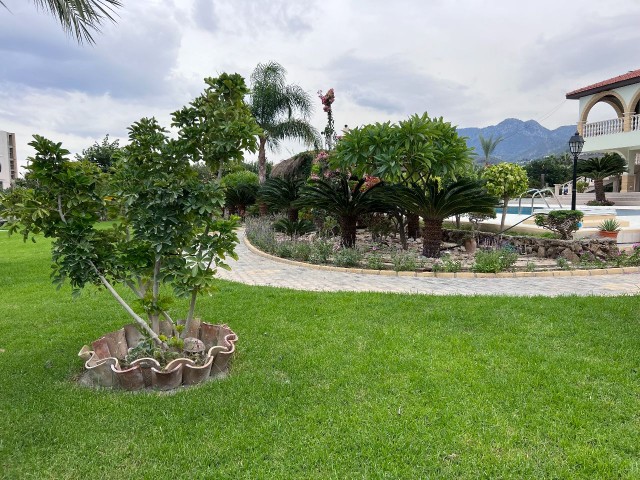 Turkish title Villa for sale in Lapta in 3144m2 land(aprox 2,5 donum of land) Gorgeous garden that makes you feel like in a botanical garden, pool bar&kitchen, water well and a lot of details need to be seen. 05338403555