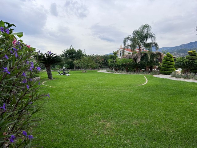 Turkish title Villa for sale in Lapta in 3144m2 land(aprox 2,5 donum of land) Gorgeous garden that makes you feel like in a botanical garden, pool bar&kitchen, water well and a lot of details need to be seen. 05338403555