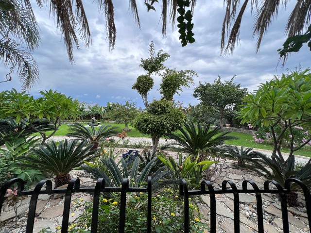 Turkish title Villa for sale in Lapta in 3144m2 land(aprox 2,5 donum of land) Gorgeous garden that makes you feel like in a botanical garden, pool bar&kitchen, water well and a lot of details need to be seen. 05338403555