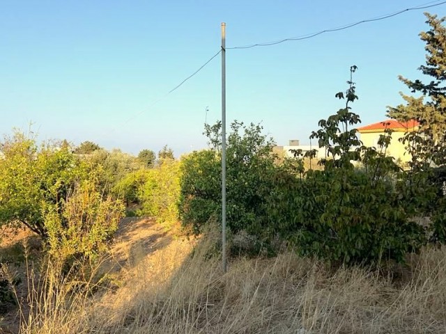 Girne, Karşıyaka'da 2620m2 Türk koçanlı arazi içerisinde 2 katlı 2 ayrı konut. her biri 3+1 daireden oluşmaktadır. girişleri ayrıdır. 05338403555