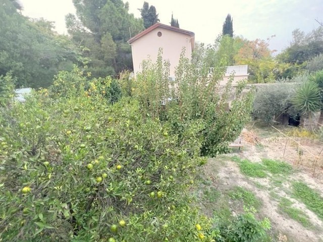 Ein altes zypriotisches Haus in Lapta, Kyrenia, wo Sie von Natur und Geschichte umgeben sind und wo Sie Meer- und Bergblick genießen können. Die Bebauungsquote in der Gegend, in der sich unser Haus befindet, mit einer Grundstücksfläche von 869 m², beträgt 90 %.05338403555