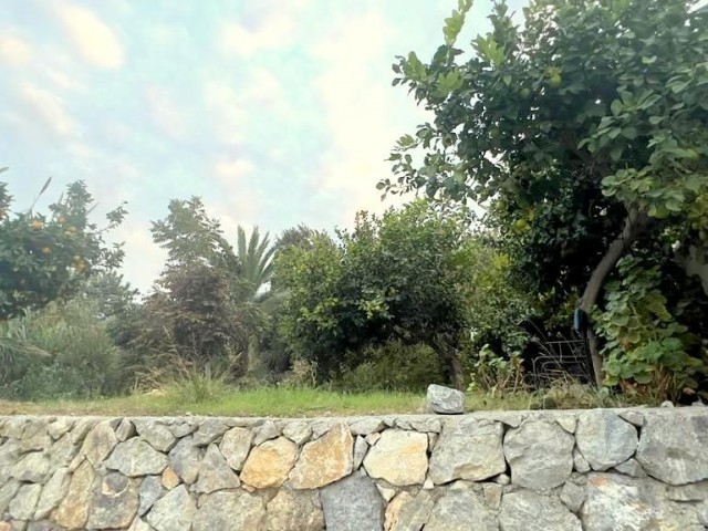 Ein altes zypriotisches Haus in Lapta, Kyrenia, wo Sie von Natur und Geschichte umgeben sind und wo Sie Meer- und Bergblick genießen können. Die Bebauungsquote in der Gegend, in der sich unser Haus befindet, mit einer Grundstücksfläche von 869 m², beträgt 90 %.05338403555