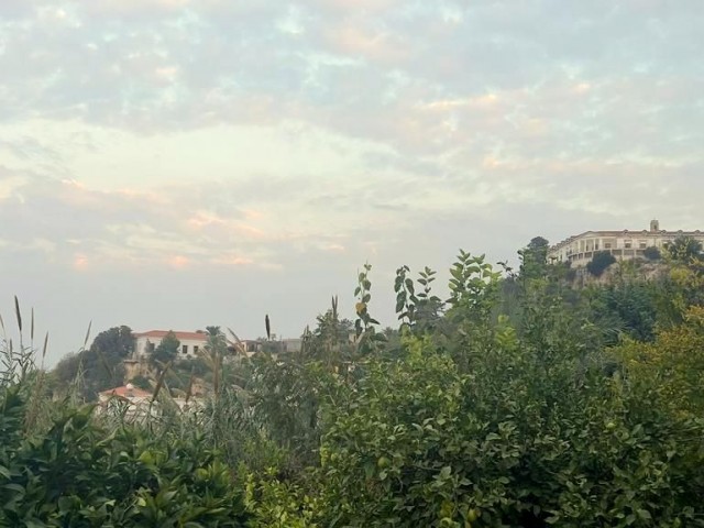 Ein altes zypriotisches Haus in Lapta, Kyrenia, wo Sie von Natur und Geschichte umgeben sind und wo Sie Meer- und Bergblick genießen können. Die Bebauungsquote in der Gegend, in der sich unser Haus befindet, mit einer Grundstücksfläche von 869 m², beträgt 90 %.05338403555