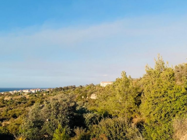 EINE HERRLICHE VILLA MIT BLICK AUF DAS MEER UND DEN BERG IM ZENTRUM DER TÄGLICHEN ODER LANGFRISTIGEN NATUR ** 