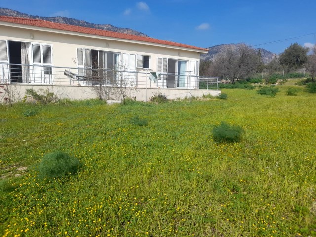 BEAUTIFUL 3 + 1  DETACHED HOUSE FOR SALE IN GIRNE , BOGAZ