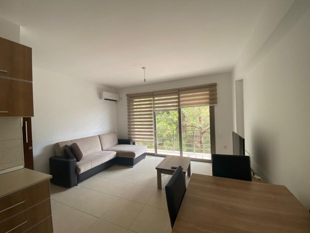 1+1 APARTMENT FOR SALE IN GIRNE CENTER