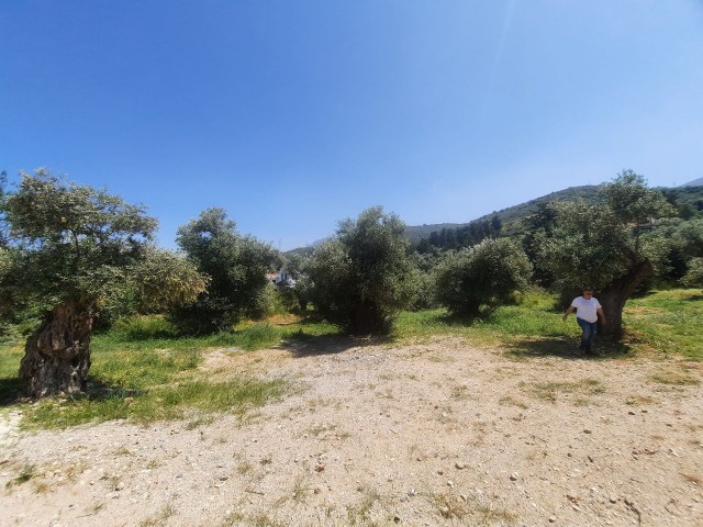 Residential Zoned Plot For Sale in Alsancak, Kyrenia