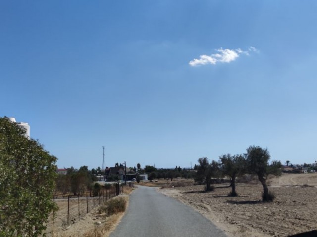 30 minutes to Nicosia, 15 minutes to Famagusta, 4 decares of land, zero to the road, suitable for the construction of a villa. A vehicle is taken as a down payment. ** 