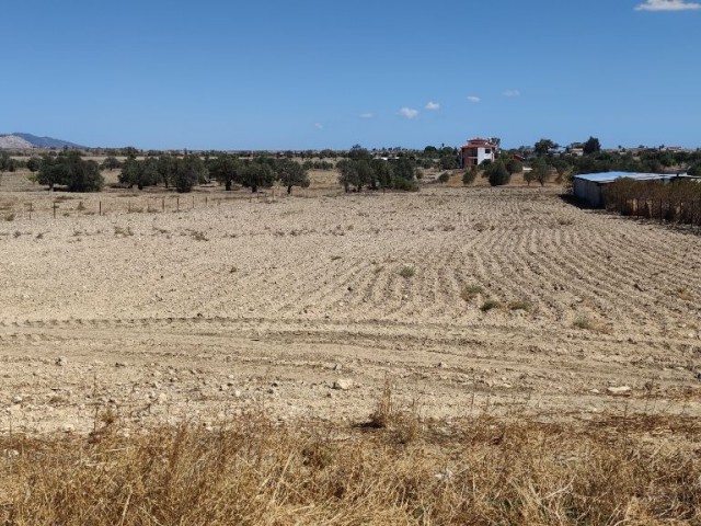 30 minutes to Nicosia, 15 minutes to Famagusta, 4 decares of land, zero to the road, suitable for the construction of a villa. A vehicle is taken as a down payment. ** 