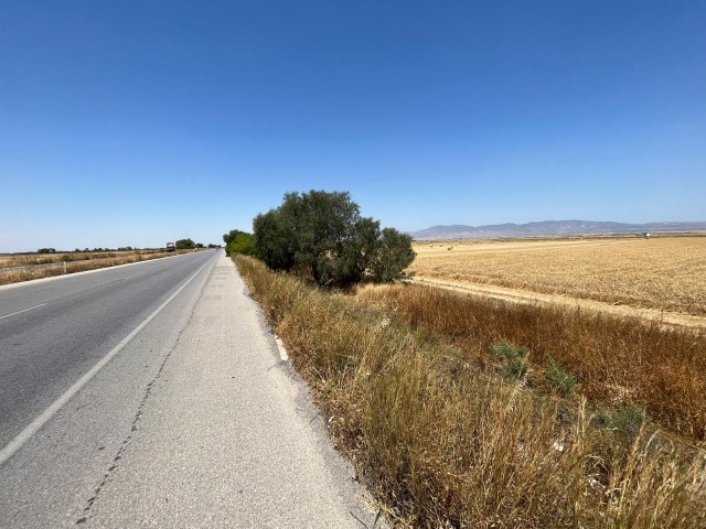 Lefkoşa Gazimağusa ana yolu üstünde ANA YOLA SIFIR  17 dönüm ( 22.434 m2 ) Takasa Açık Arazi