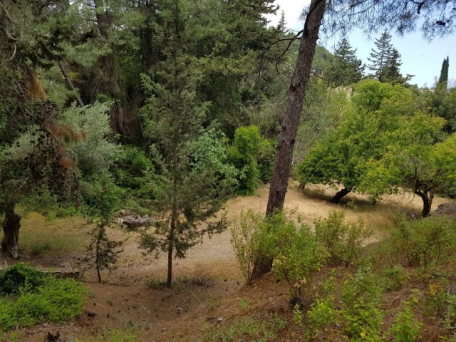 ویلا برای اجاره in Karaağaç, گیرنه