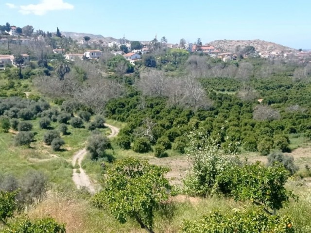 PARADIES ZUM VERKAUF INKLUSIVE FREISTEHENDER GARTEN (2 HÄUSER+2 GRUNDSTÜCKE) MIT HERRLICHEM BERG-UND MEERBLICK IN LEFKE, WO DIE NATUR AM SCHÖNSTEN UND GROßZÜGIGSTEN IST ** 