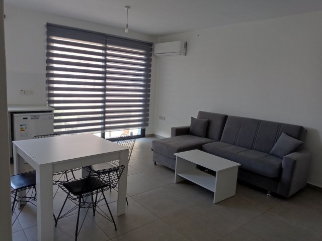 2 + 1 Furnished apartment for rent with indoor parking in the central location in the Yenişehir region ** 