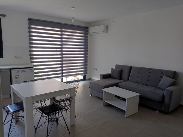 2 + 1 Furnished apartment for rent with indoor parking in the central location in the Yenişehir region ** 