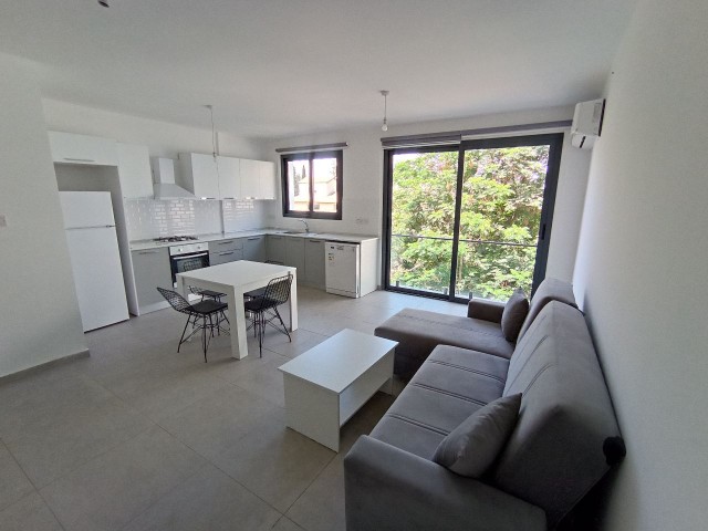 2 + 1 Furnished apartment for rent with indoor parking in the central location in the Yenişehir region ** 