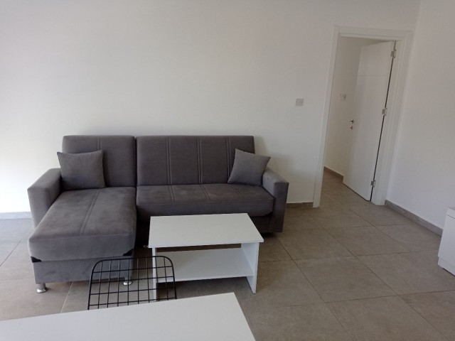 2 + 1 Furnished apartment for rent with indoor parking in the central location in the Yenişehir region ** 