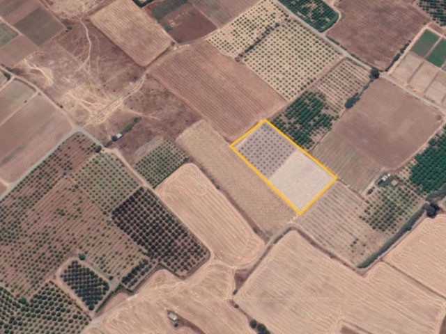 Field For Sale in Güzelyurt Merkez, Guzelyurt