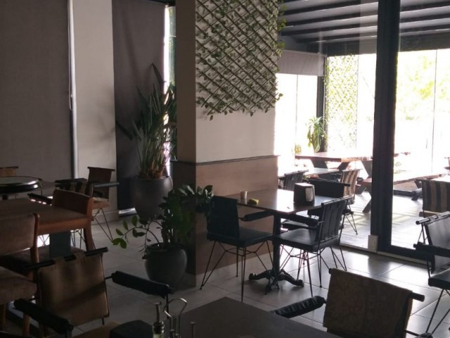 Готовый ресторан - кафе на продажу в Гёчменкёй